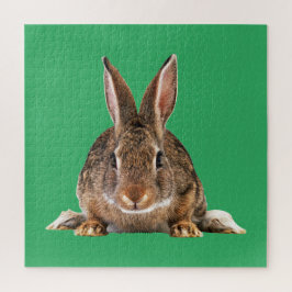 PUZZLE RABBIT