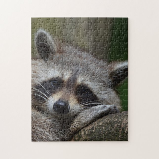 Puzzle Raccoon (Vertical)