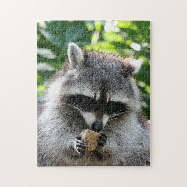Puzzle Raccoon 004 (Vertical)