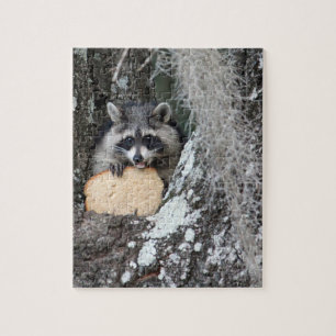 Puzzle Raccoon bebé