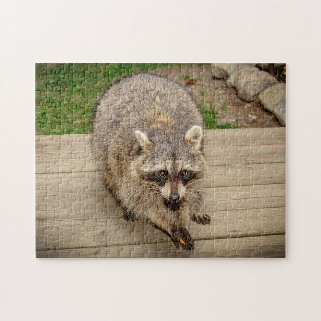 Puzzle Raccoon con chip (Horizontal)