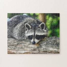 Puzzle Raccoon Log Mammal de Vida Silvestre