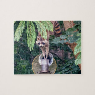 Puzzle Raccoon montando el alimentador de aves
