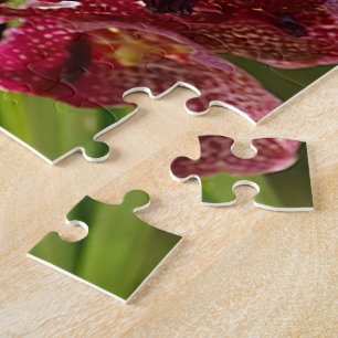 Puzzle Racimo tropical de la orquídea de Vanda