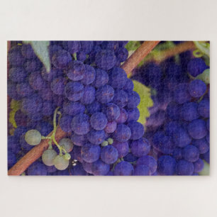 Puzzle Racimos de Uvas Azules Moradas en la Vid