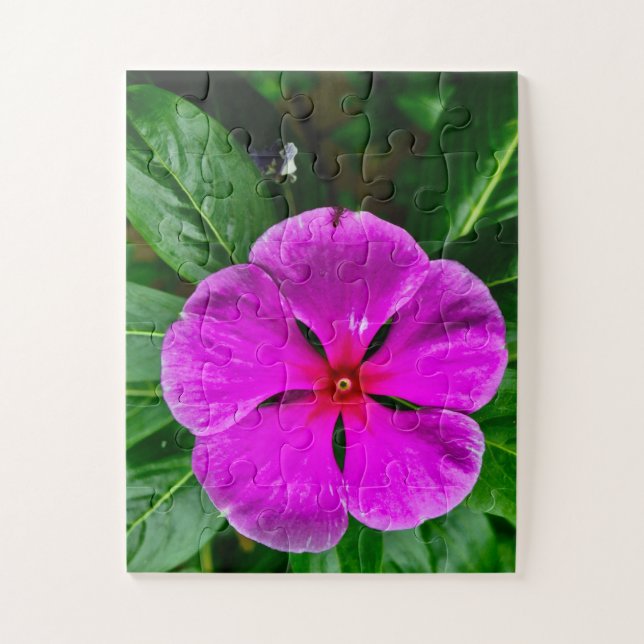 Puzzle Radiant Memory Bloom | Magenta Vinca Botanical (Vertical)