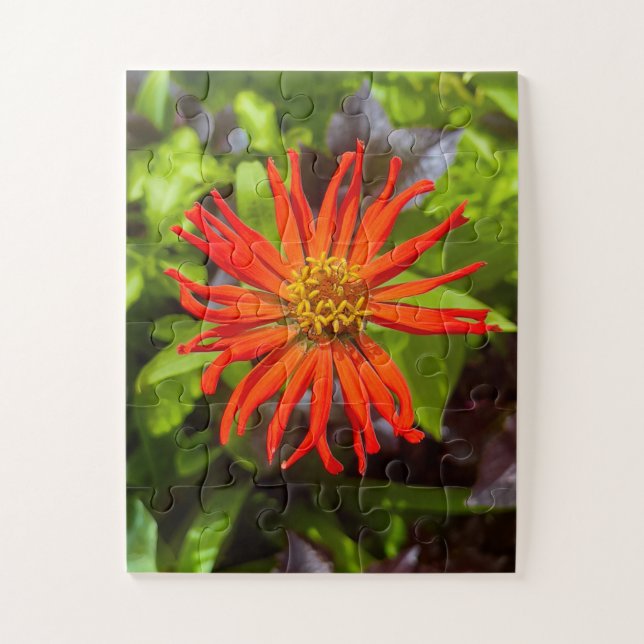 Puzzle Radiant Orange Zinnia | Floral Tribute to Alzheime (Vertical)