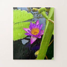 Puzzle Radiant Purple Water Lily in Tranquil Pond