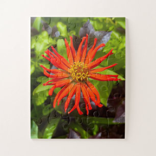 Puzzle Radiantes zinnias naranjas   Tributo floral a Alzh