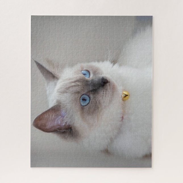 Puzzle Rag Doll Cat (Vertical)