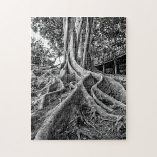 Puzzle Raíces masivas de árbol de caucho