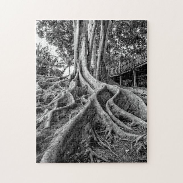Puzzle Raíces masivas de árbol de caucho (Vertical)