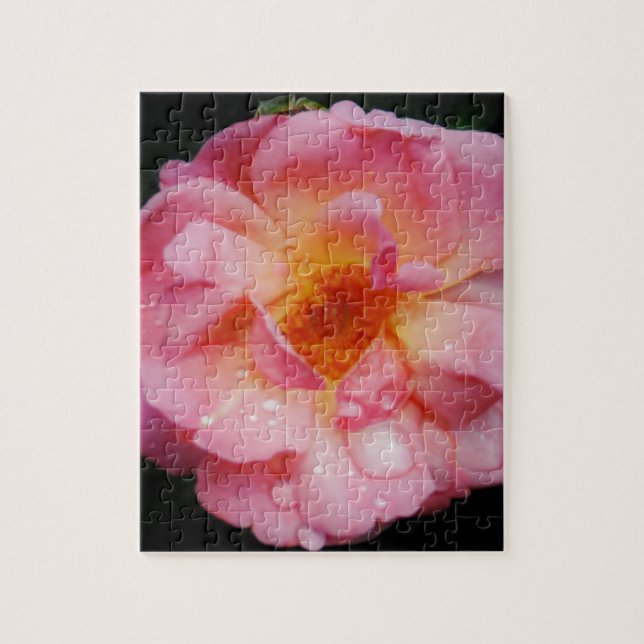 Puzzle Raindrops on Pink Rose Flower Photo (Vertical)