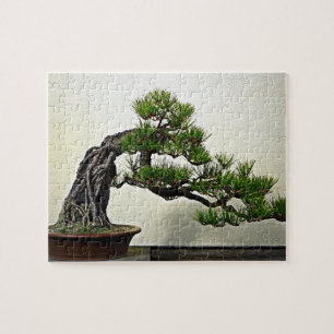 Puzzle Raíz sobre árbol de los bonsais del pino de la