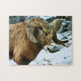 Puzzle Ram de oveja de Bighorn
