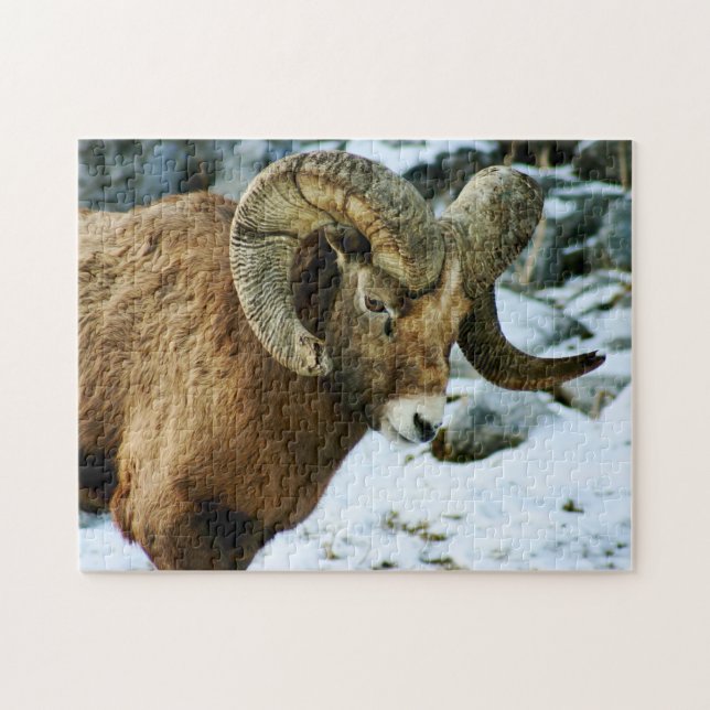 Puzzle Ram de oveja de Bighorn (Horizontal)