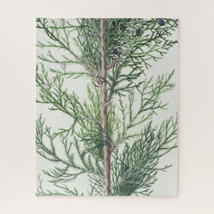 Puzzle Rama de árbol imposible