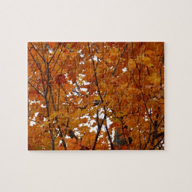 Puzzle Ramas de hojas de arce I Otoño naranja (Horizontal)