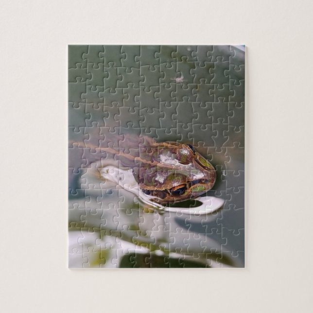 Puzzle Rana asomando (Vertical)