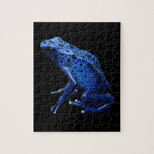Puzzle Rana Dart de veneno azul
