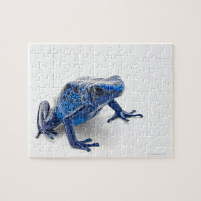 Puzzle Rana de Dart de veneno azul (Dendrobates Tinctoriu (Horizontal)
