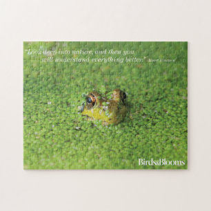 Puzzle Rana en algas verdes
