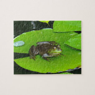 Puzzle Rana toro en Lilypads