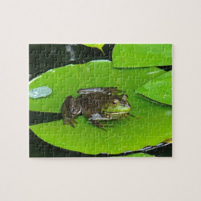 Puzzle Rana toro en Lilypads (Horizontal)