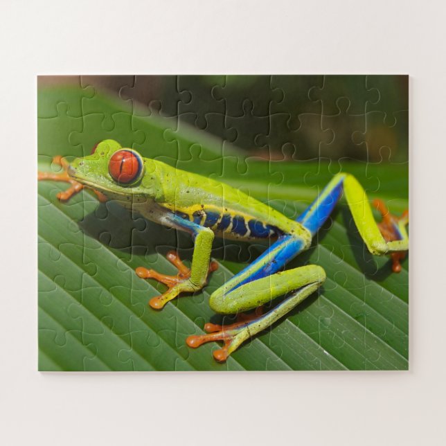 Puzzle Rana tropical (Horizontal)
