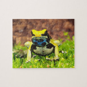 Puzzle Rana venenosa tinctoria, Dendrobates tinctorius,