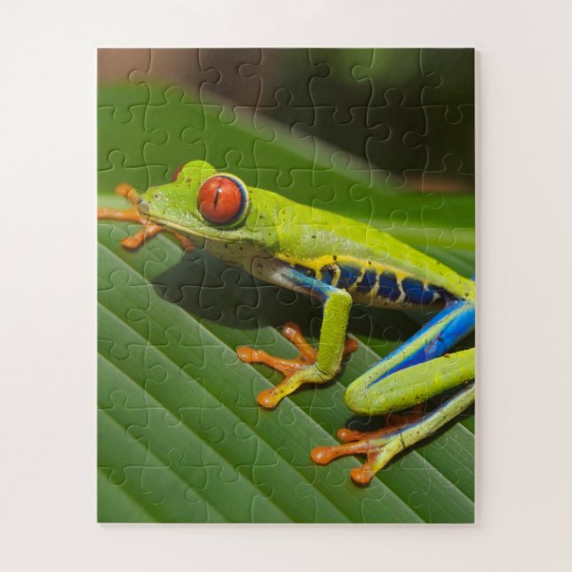 Puzzle Rana verde colorida de árbol de la jungla (Vertical)
