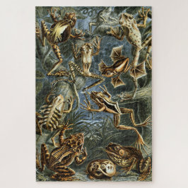 Puzzle Rana y sapo Ernst Haeckel