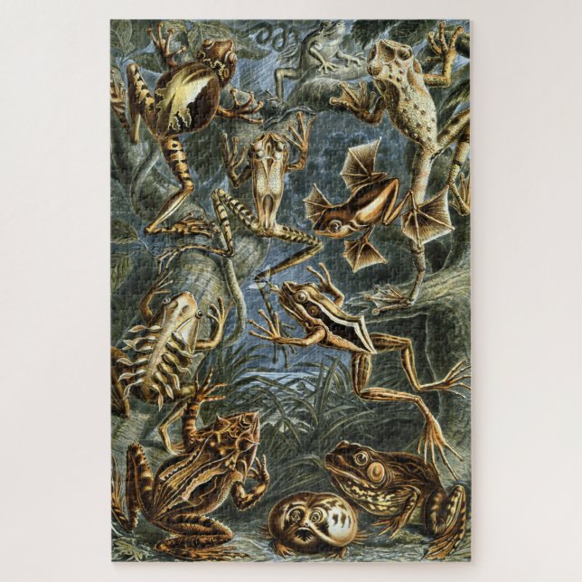 Puzzle Rana y sapo Ernst Haeckel (Vertical)
