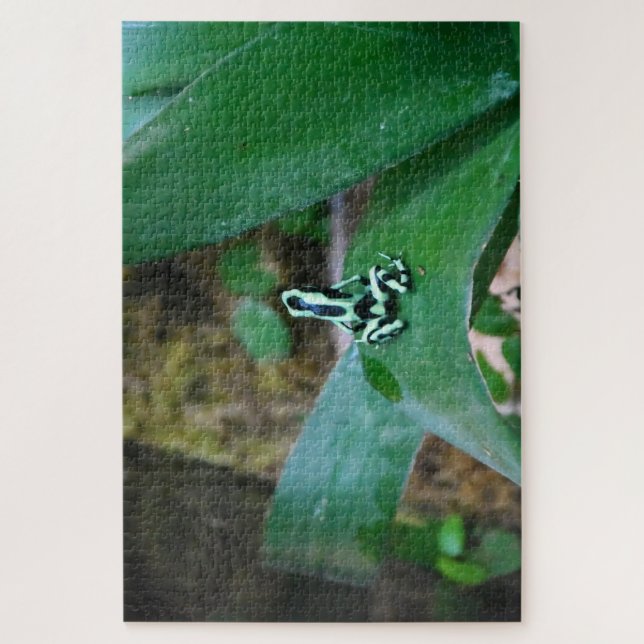 Puzzle Ranas tropicales. (Vertical)