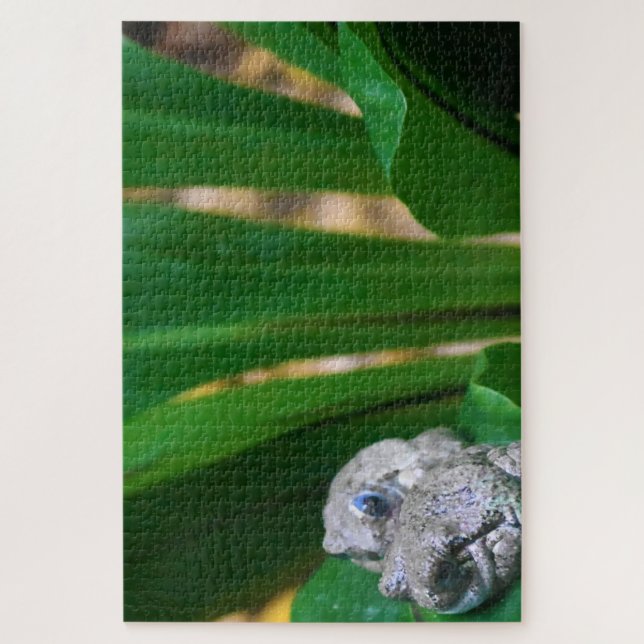 Puzzle Ranas tropicales. (Vertical)