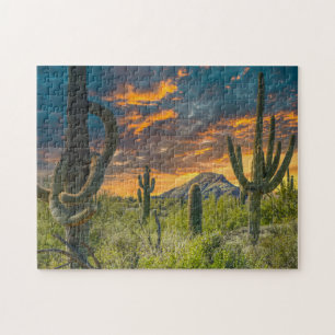 Puzzle Rancho de 4792-2-Spur, Cave Creek, Arizona