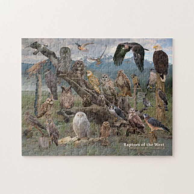 Puzzle Raptores de Occidente (Horizontal)