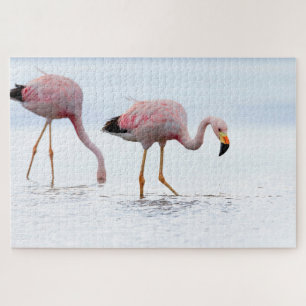 Puzzle Raras y hermosas aves andinas Flamingo Pink Chile