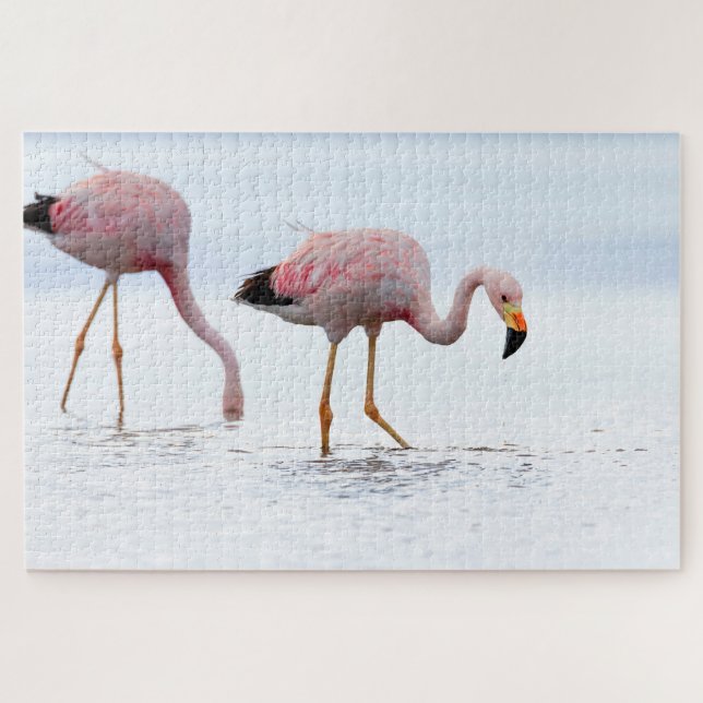 Puzzle Raras y hermosas aves andinas Flamingo Pink Chile (Horizontal)