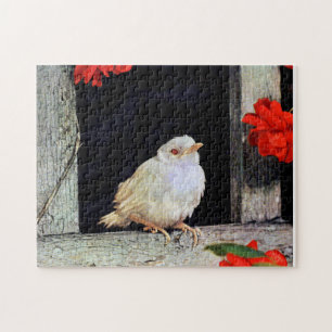 Puzzle RARE albino robin