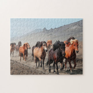Puzzle Rastro occidental