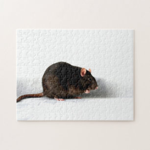 Puzzle Rat 11x14 252pc jpcna