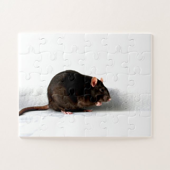 Puzzle Rat 11x14 30pc jpcna (Horizontal)