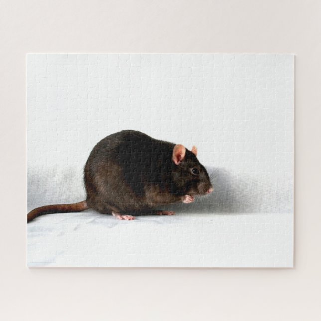 Puzzle Rat 16x20 520pc jpcna (Horizontal)