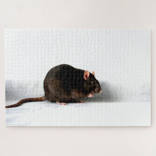 Puzzle Rat 20x30 1014pc jpa
