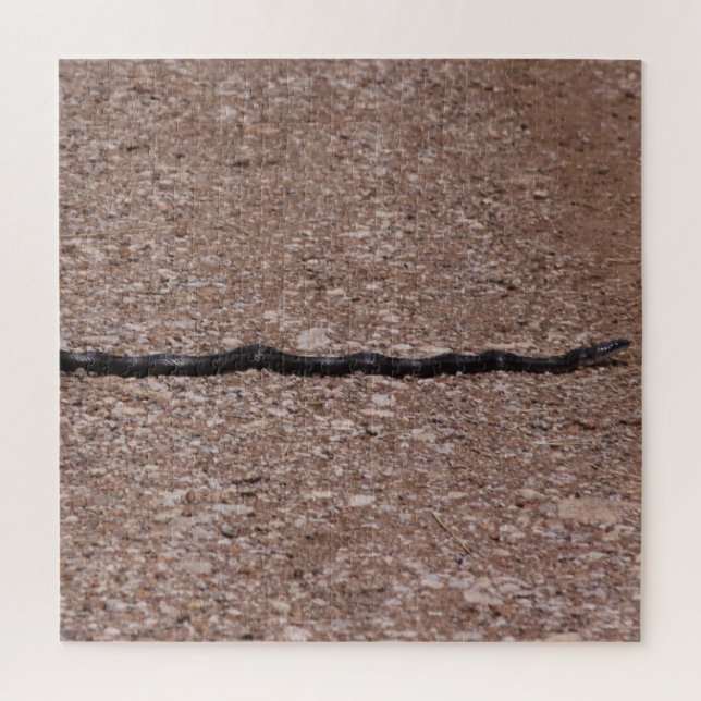 Puzzle Rat Snake (Vertical)