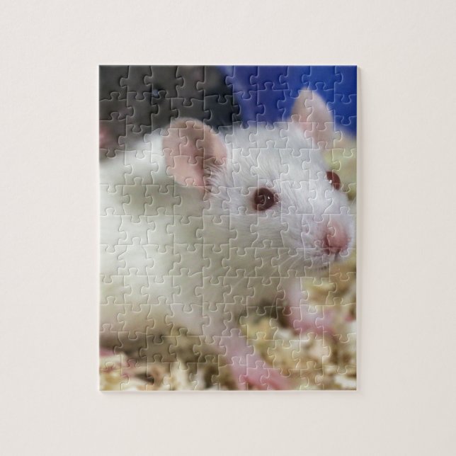 Puzzle Rata (Vertical)