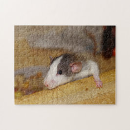 Puzzle Rata Cuta