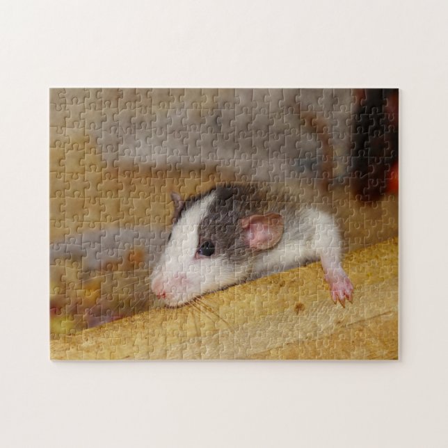 Puzzle Rata Cuta (Horizontal)