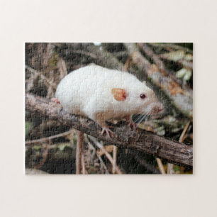 Puzzle Rata Mascota Dumbo Siamés en el bosque